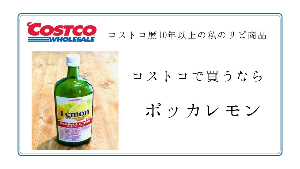 最高 業務用 ポッカレモン 100% 720ml 2本 レモン果汁 ポッカサッポロ terahaku.jp